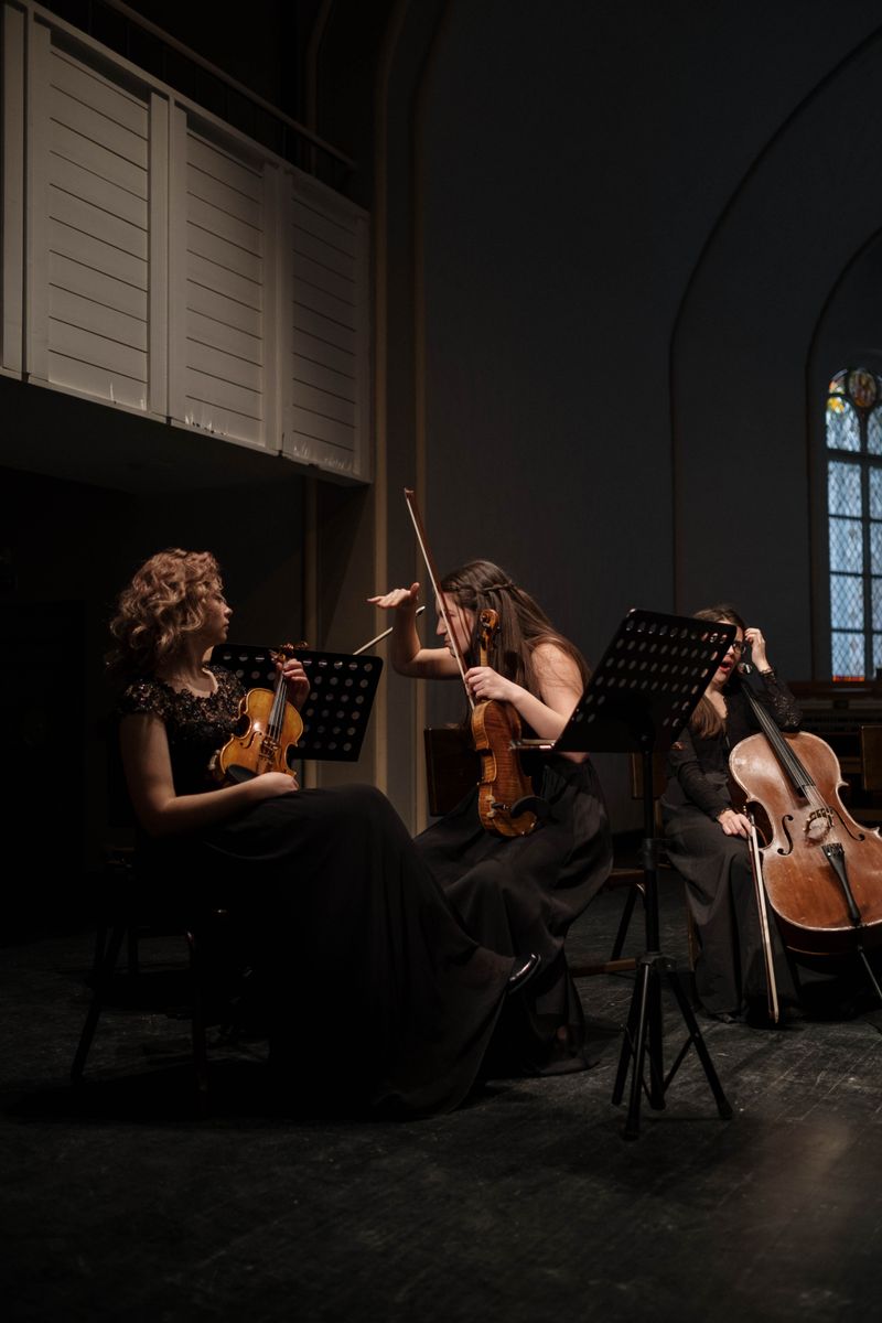 Bayan Trio Keman Grubu